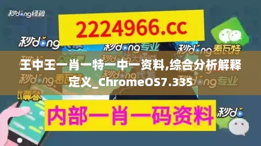 王中王一肖一特一中一资料,综合分析解释定义_ChromeOS7.335