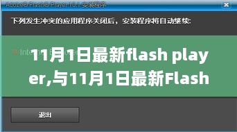 11月1日最新flash player,与11月1日最新Flash Player的温馨邂逅，11月1日与最新Flash Player的温馨邂逅