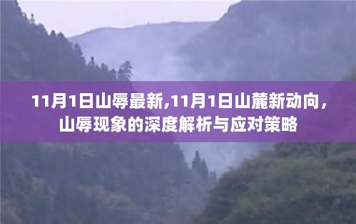 山麓新动向，山辱现象深度解析与应对策略