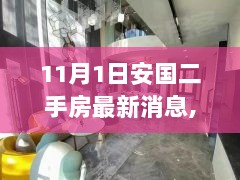 11月1日安国二手房的温馨故事，爱与陪伴的温暖篇章