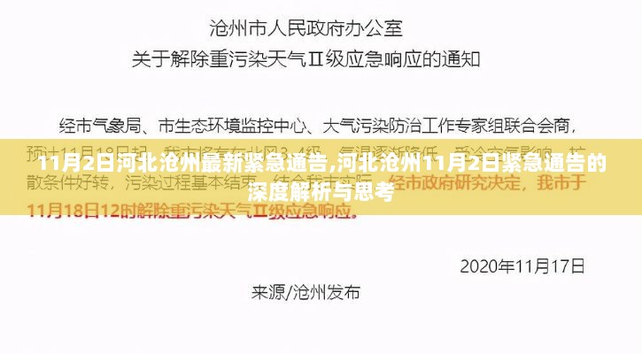 河北沧州11月2日紧急通告的深度解析与思考