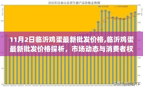 11月2日临沂鸡蛋最新批发价格及市场动态分析，消费者权益关注焦点