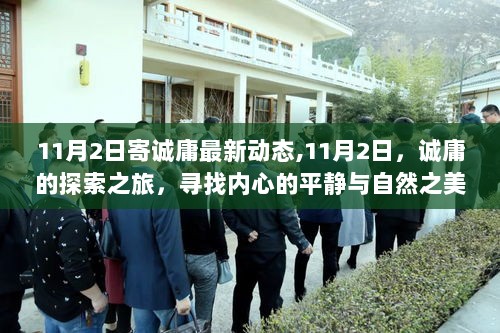 11月2日，诚庸的探索之旅，寻找内心的平静与自然之美新动态