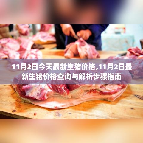 11月2日最新生猪价格查询与解析步骤指南