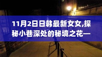 11月2日日韩最新女女,探秘小巷深处的秘境之花——11月2日体验日韩最新女女风尚的隐秘小店