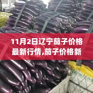 11月2日辽宁茄子价格新篇章，励志启示与行情动态