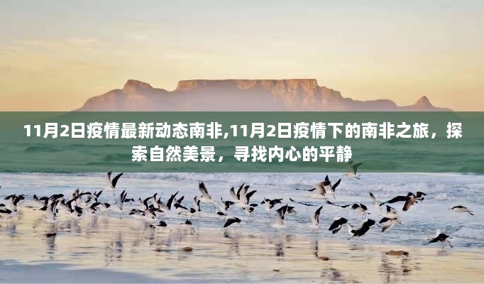 11月2日南非疫情动态及南非之旅探索之旅，寻找自然美景与内心的平静