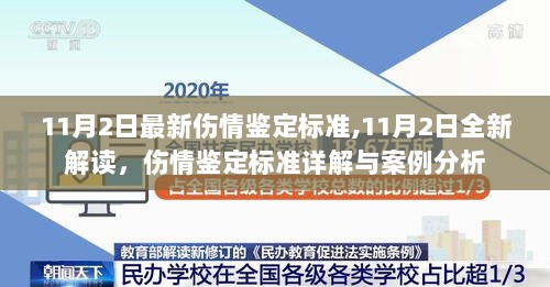 11月2日新版伤情鉴定标准详解与案例分析