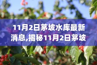 11月2日茅坡水库最新动态，水资源管理新进展与生态保护新举措揭秘