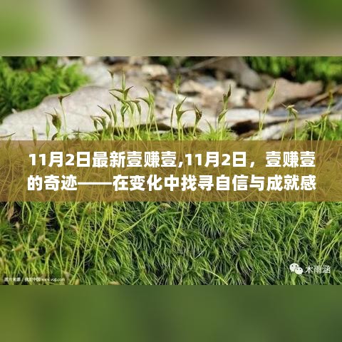 11月2日壹赚壹的奇迹，变化中的自信与成就之旅