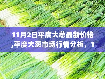 11月2日平度大葱市场行情及最新价格解读