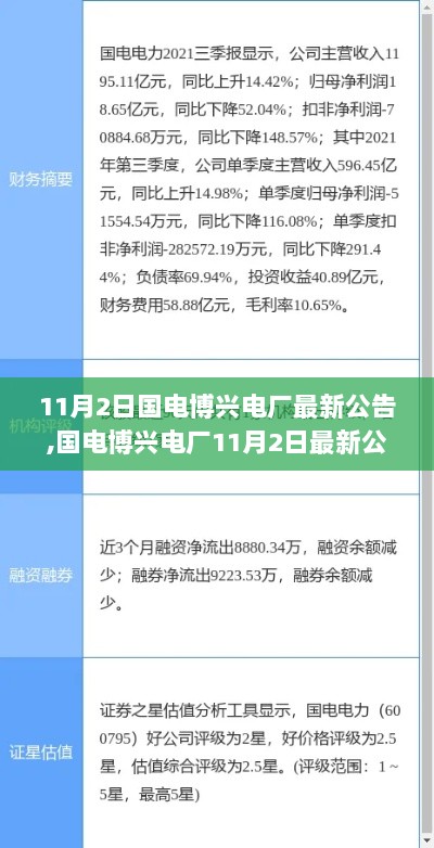 国电博兴电厂深度解析与体验报告，11月2日最新公告解读