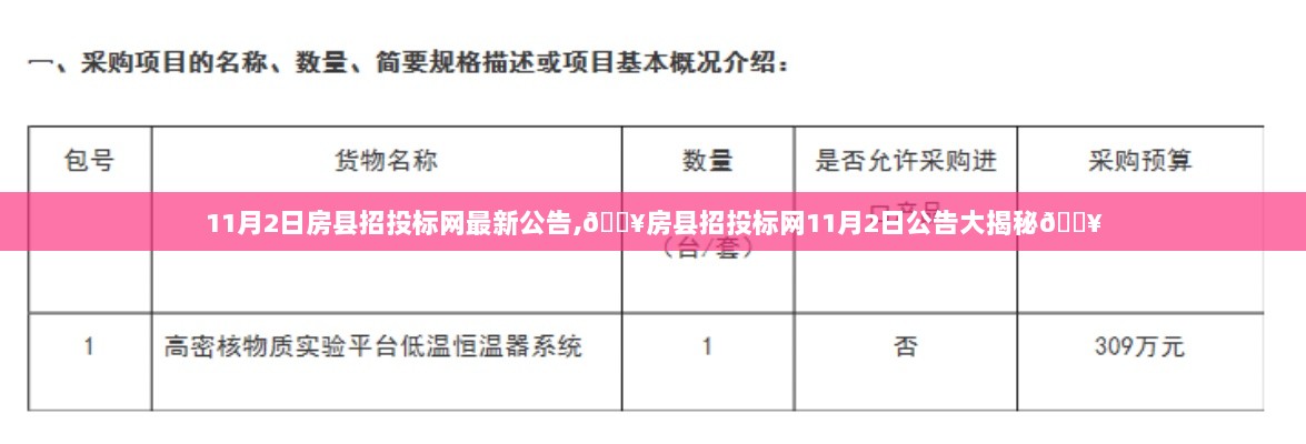 房县招投标网11月2日公告揭秘