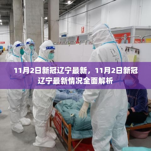 11月2日辽宁新冠疫情最新情况全面解析