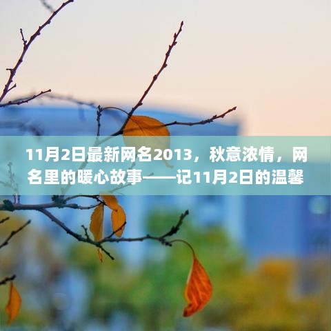 秋意浓情，11月2日网名背后的暖心故事