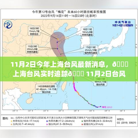 上海台风实时追踪，11月2日台风最新动态揭秘