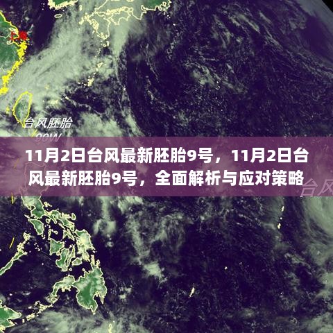 11月2日台风最新胚胎9号，全面解析与应对策略