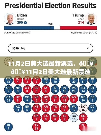 11月2日美国大选最新票选结果揭秘