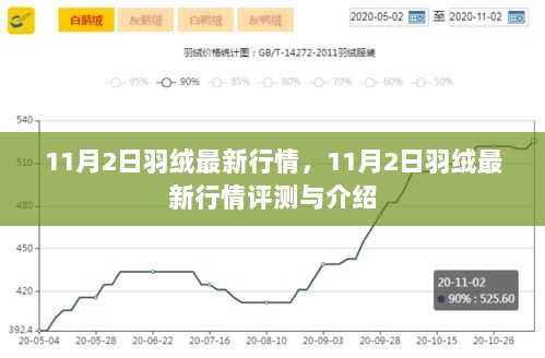 11月2日羽绒最新行情评测与介绍