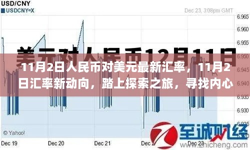 11月2日汇率新动向，探索内心平静之旅的金融视角