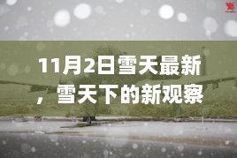 11月2日雪天下的独特观察与新视角