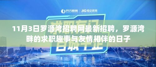 罗源湾招聘网11月3日最新招聘信息，求职趣事与友情相伴的日子