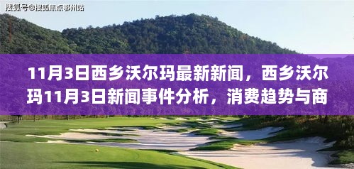 11月3日西乡沃尔玛新闻事件分析，消费趋势与商业变革的双重观察