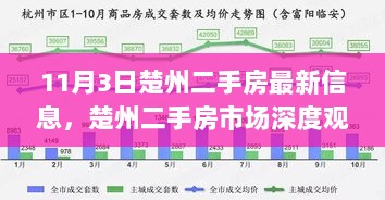 11月3日楚州二手房市场深度观察及最新信息解读