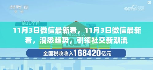 11月3日微信趋势洞察，引领社交新潮流的洞见与解析