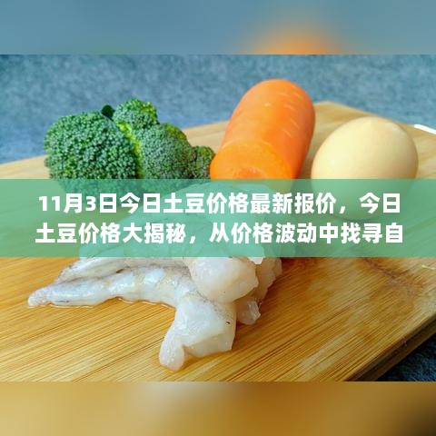 11月3日土豆价格大揭秘，从价格波动中探寻信心与成就感