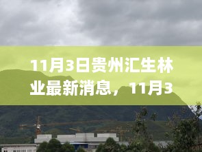 贵州汇生林业最新动态，绿色发展开启林业新篇章