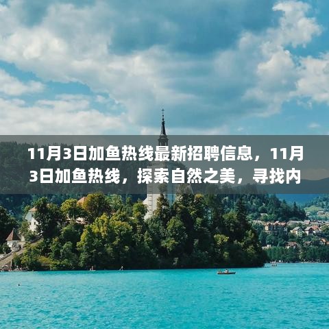 11月3日，加鱼热线招聘信息发布，启程探索自然与内心的平静之旅