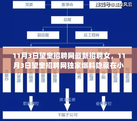 11月3日望奎招聘网女员工招聘独家爆料——探索隐藏小巷的特色小店