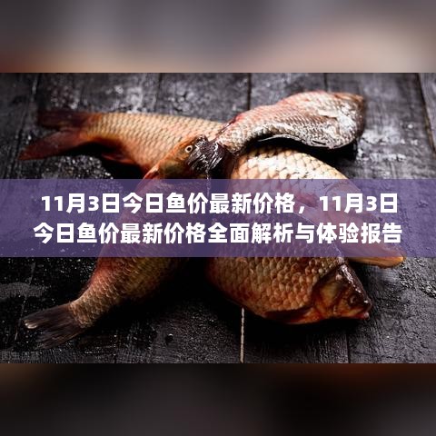 11月3日全面解析与体验报告，今日鱼价最新价格