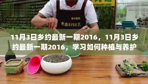 11月3日乡约，多肉植物种植与养护步骤指南