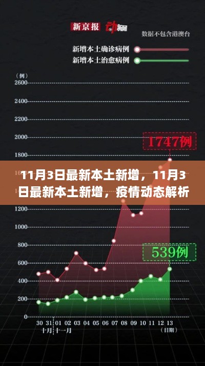 11月3日疫情动态解析与防控策略，本土新增病例情况分析