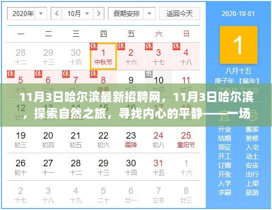 11月3日哈尔滨招聘盛宴与心灵探索之旅的完美结合