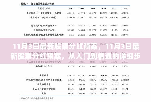 11月3日股票分红预案，从入门到精通的详细步骤指南