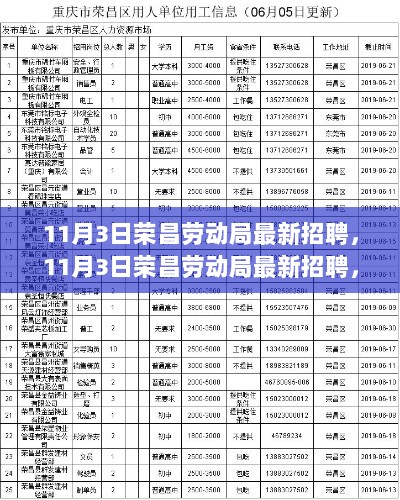 11月3日荣昌劳动局最新招聘，从报名到成功的详细步骤指南