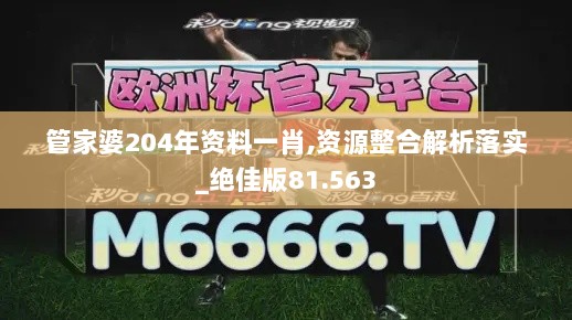 管家婆204年资料一肖,资源整合解析落实_绝佳版81.563