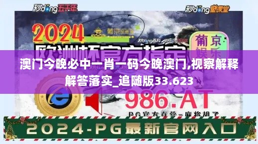 澳门今晚必中一肖一码今晚澳门,视察解释解答落实_追随版33.623