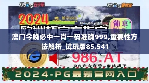 澳门今晚必中一肖一码准确999,重要性方法解析_试玩版85.541