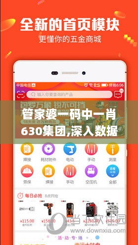 管家婆一码中一肖630集团,深入数据执行计划_枪战版62.039