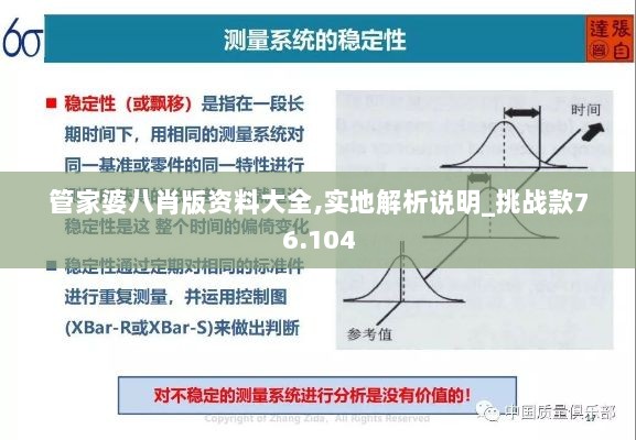 管家婆八肖版资料大全,实地解析说明_挑战款76.104