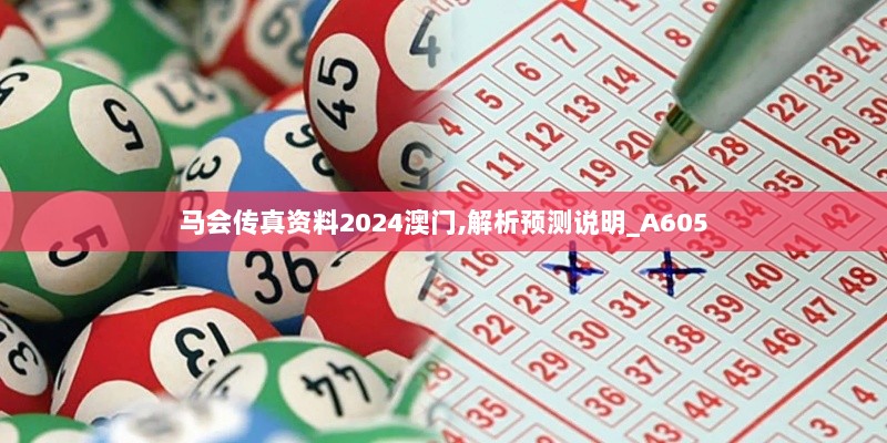 马会传真资料2024澳门,解析预测说明_A605