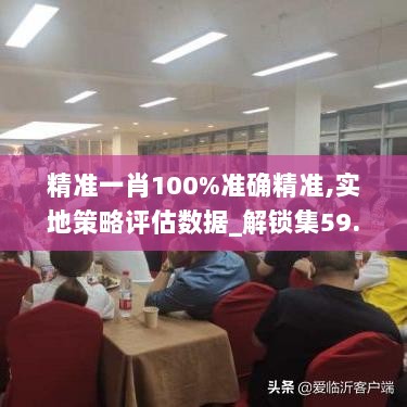 精准一肖100%准确精准,实地策略评估数据_解锁集59.717