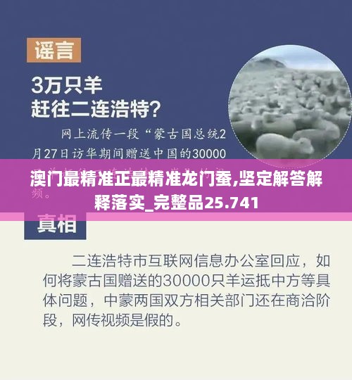 澳门最精准正最精准龙门蚕,坚定解答解释落实_完整品25.741