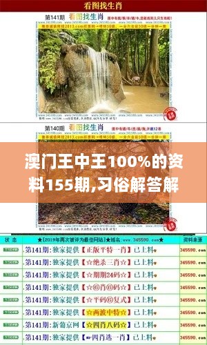 澳门王中王100%的资料155期,习俗解答解释落实_简易制75.595