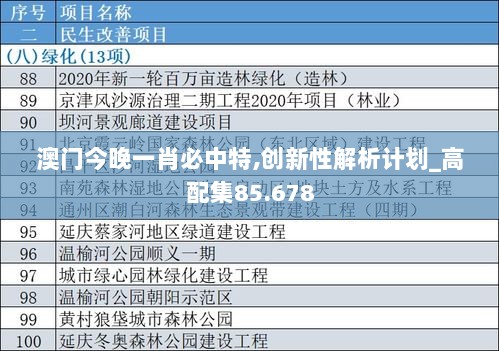 澳门今晚一肖必中特,创新性解析计划_高配集85.678