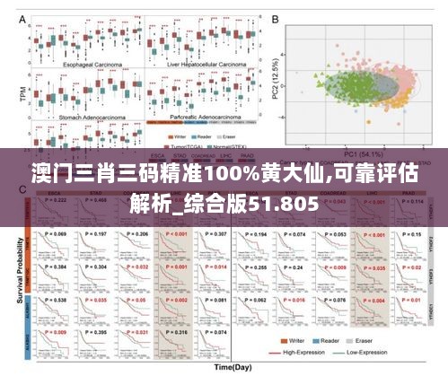 澳门三肖三码精准100%黄大仙,可靠评估解析_综合版51.805